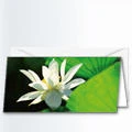 Karte - Lotosblüte - Duftkarte Karte - Lotosblüte - Duftkarte