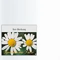 Kalender 2011 - Apotheke der Natur - Heilpflanzen Kalender 2011 - Apotheke der Natur - Heilpflanzen