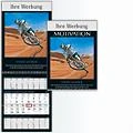 Kalender 2011 - Motivation 3M-Bildplaner - Dreimonatsbildkalender Kalender 2011 - Motivation 3M-Bildplaner - Dreimonatsbildkalender