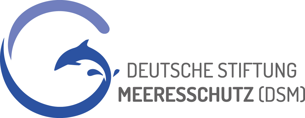 Kalender 2024 - Kalender 2024 - Logo der Deutschen Stiftung Meeresschutz